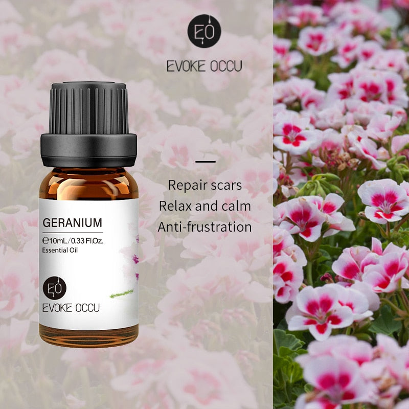 EVOKE OCCU 10ML Pure Essential Oils For Aroma Diffuser Humidifier Massage Candle Soap Making 100% Nature Lavender Jasmine Rose